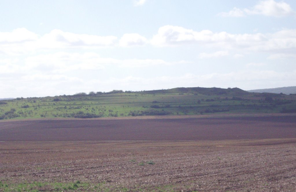 Blick zum Galgenberg im Unstruttal by KerstinAxel