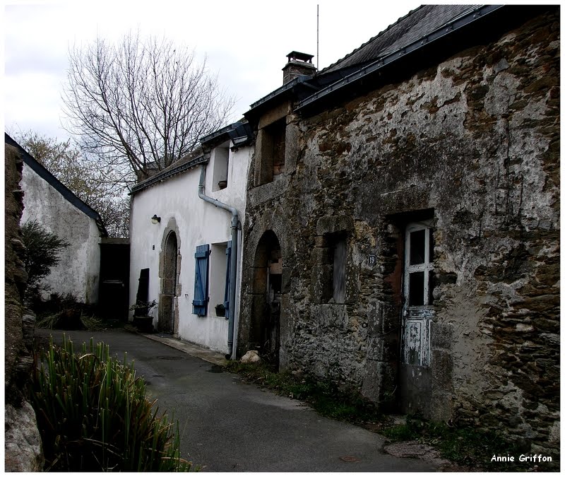 Anciennes maisons de Damgan by ♫ Amonite ♫