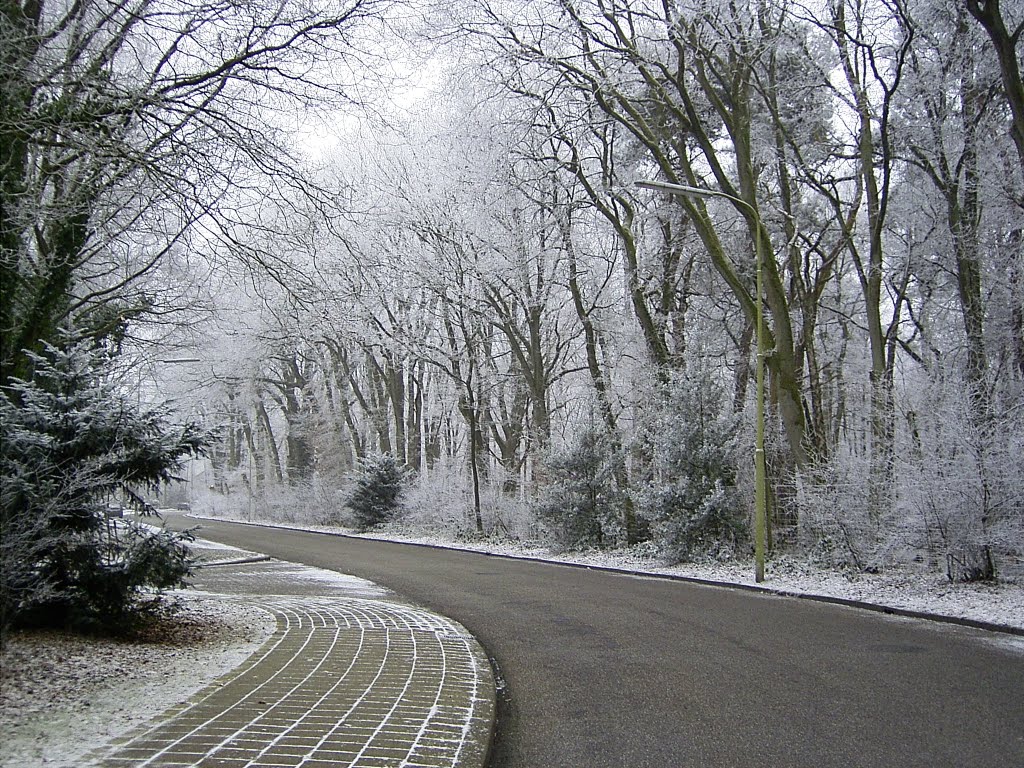 Nederland, Dieren. North west part of the village in wintertime. by Shipki-la