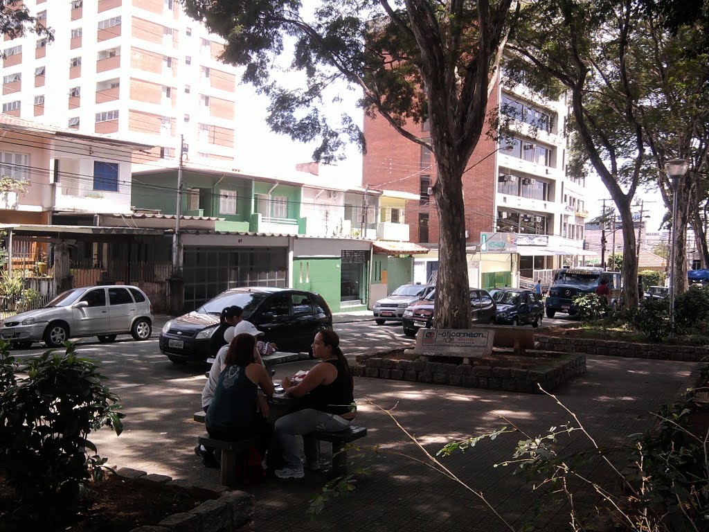 Praça da Padroeira do Brasil - R. Nélson de Camargo, 1-159 - CentroOsasco - São Paulo, 06010-070 by fesousa