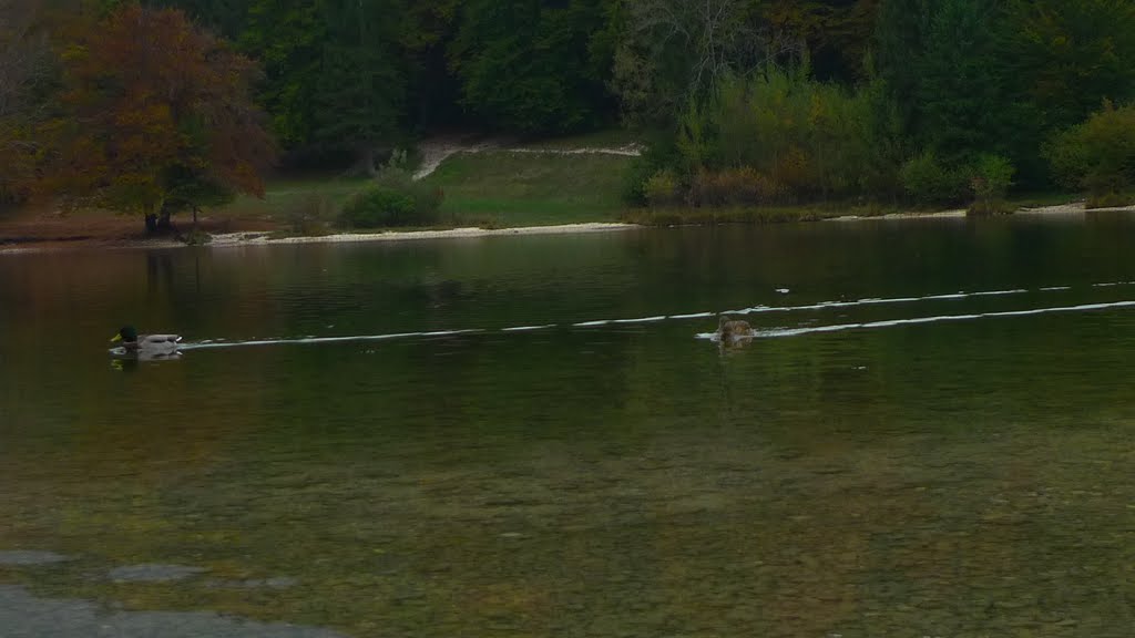 Lake Bohinj Who's faster? - Хто швидше? by Jaroslaw L.