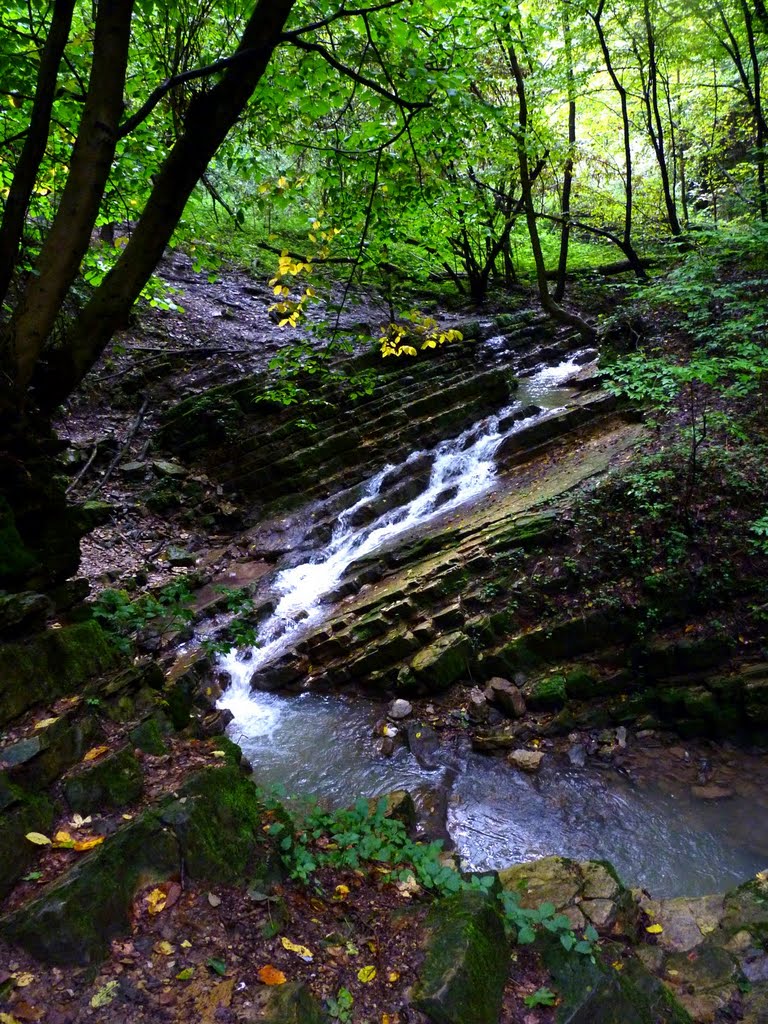 Calc-tufa waterfall, Mecsek, HU by liliana200