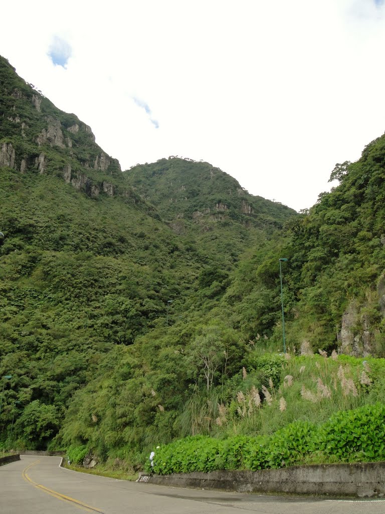 Vista da Serra do Rio do Rastro à beira da SC - 438 em Lauro Müller, SC. by Ricardo Mercadante