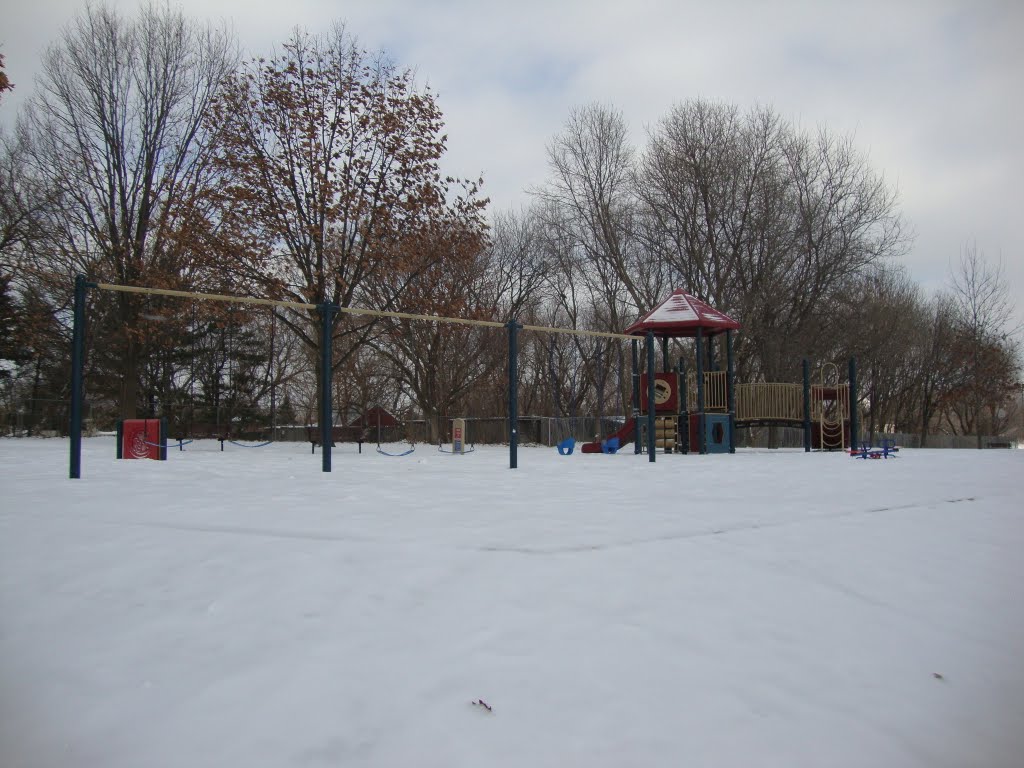 O'brien Park Swings by sanjam3