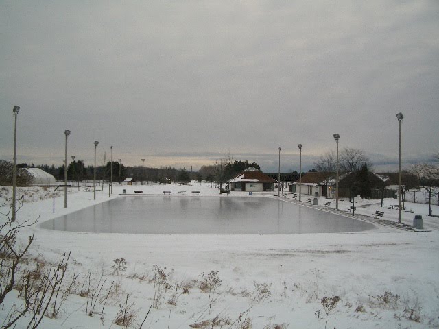 Olympic Skating Rink by DYN