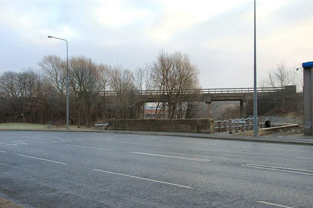 Railway Viaduct / path to Parson's Meadow by David Humphreys