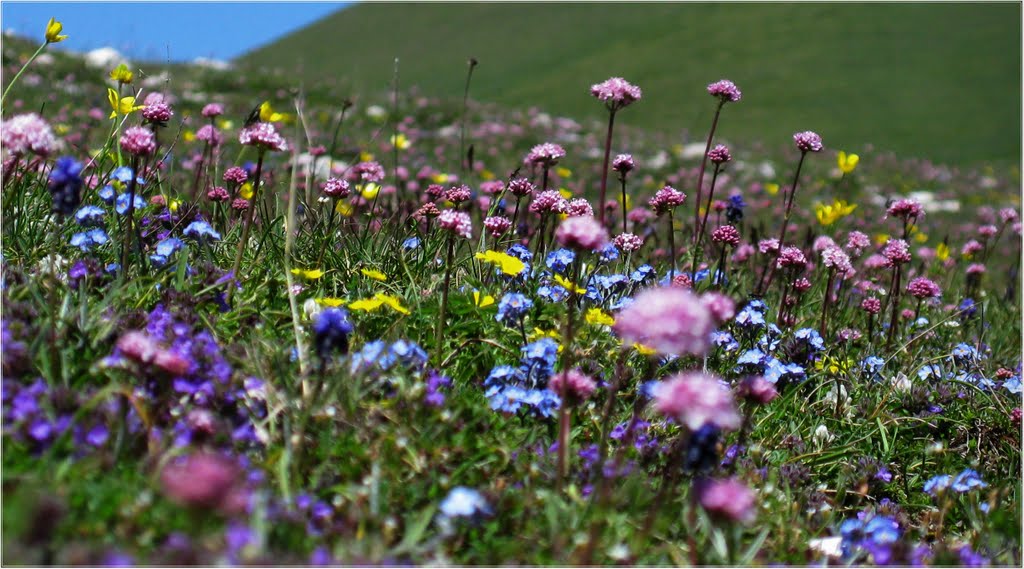 Primavera al Pian Grande by FraB