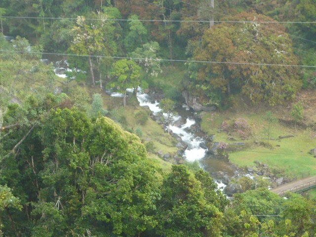 Río Savegre desde el sendero by Edgar Rojas Cabezas