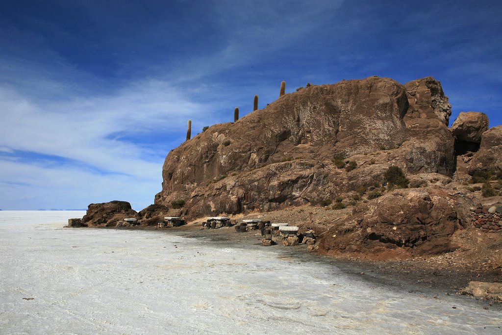 Salar De Uyuni Isla pescado by Vladimir Minakov