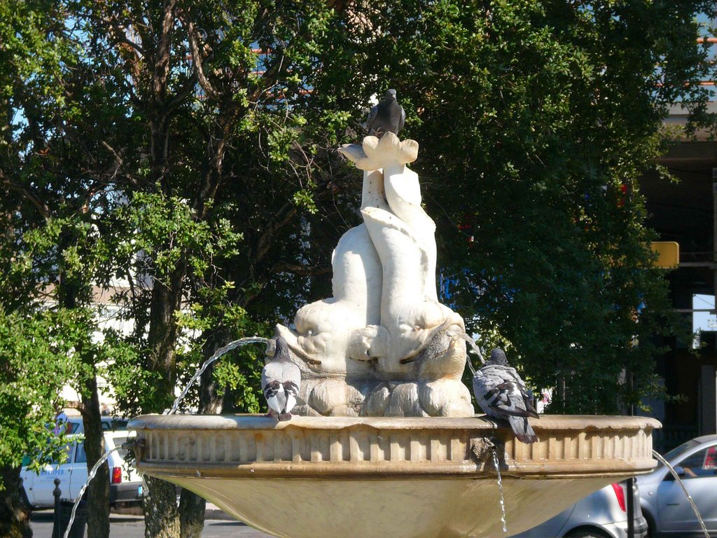 brindisi.fontana dei delfini by Egidio Moretton