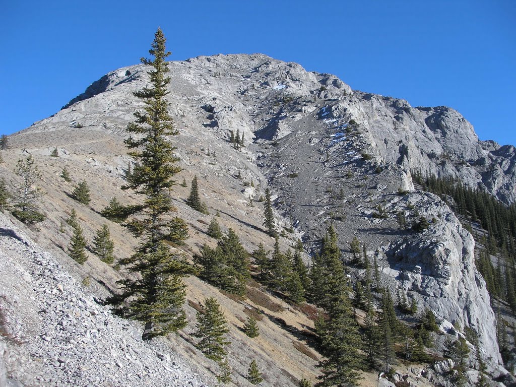 Mount Baldy summit is within reach by M Delong