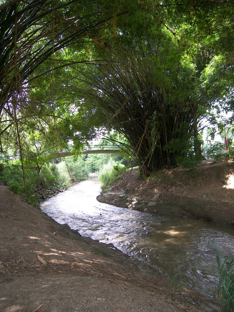 El Cabriales, Valencia by Lucrecia Diaz