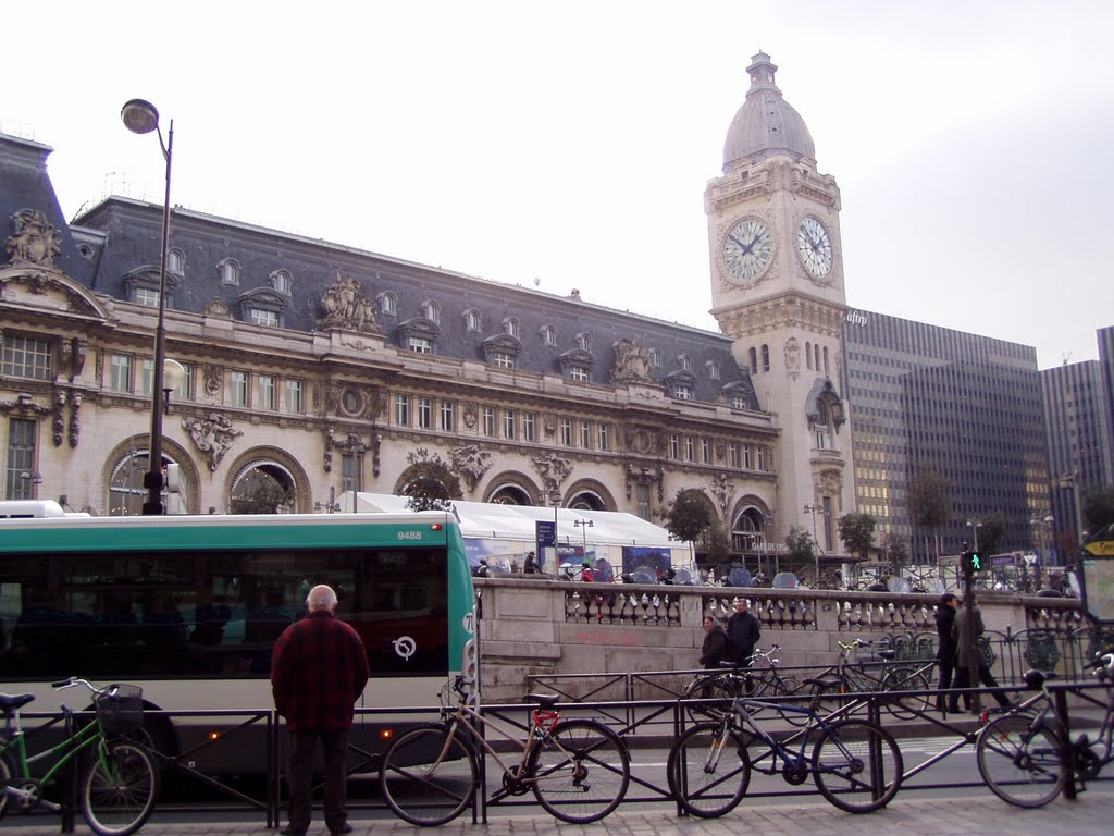 Gare de Lyon en Paris by ismael c g