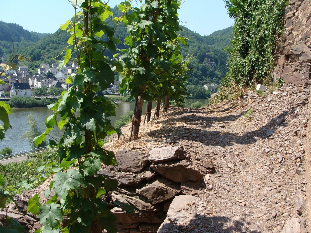 Cochem Apolloweg nach Valwig by Contessa