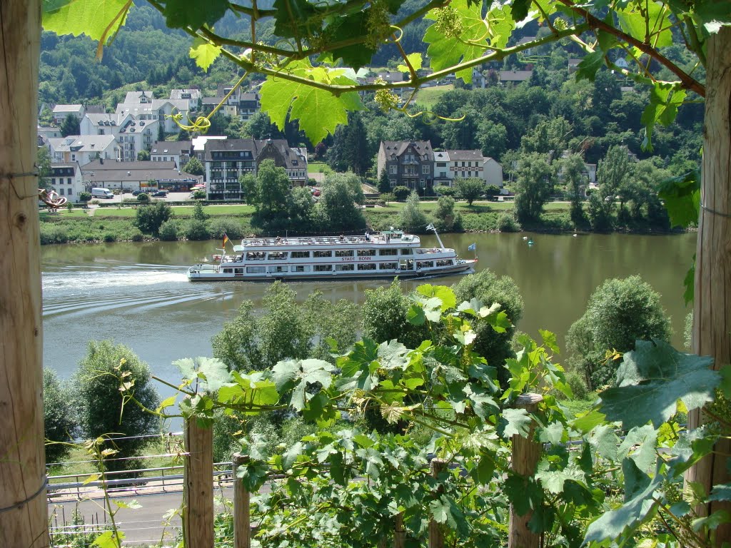 Cochem Blick vom Apolloweg auf die Mosel by Contessa