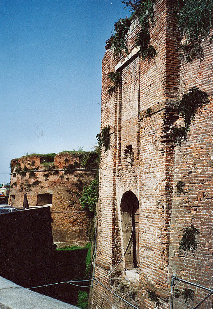 Casale Monferrato, il castello by PeterE