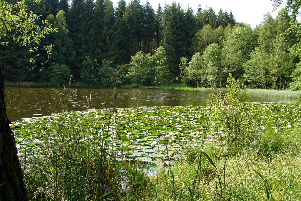 View on the lake by Erwin van Bochove