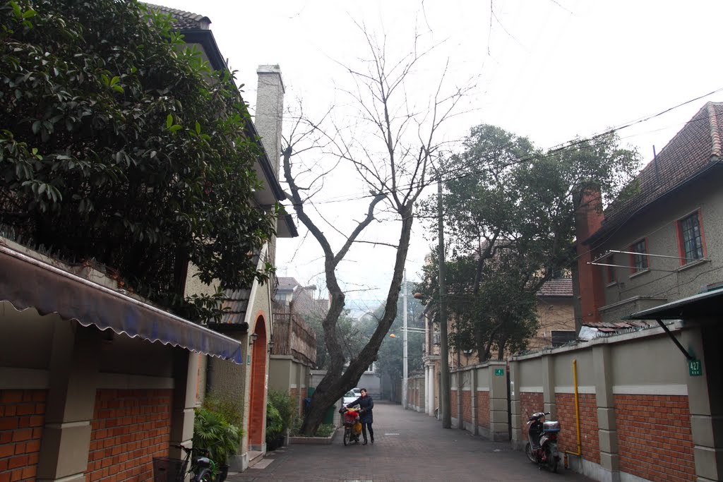 愚园路历史文化风貌区 Yuyuan Rd the Areas with Historical Cultural Features by cnopera.org