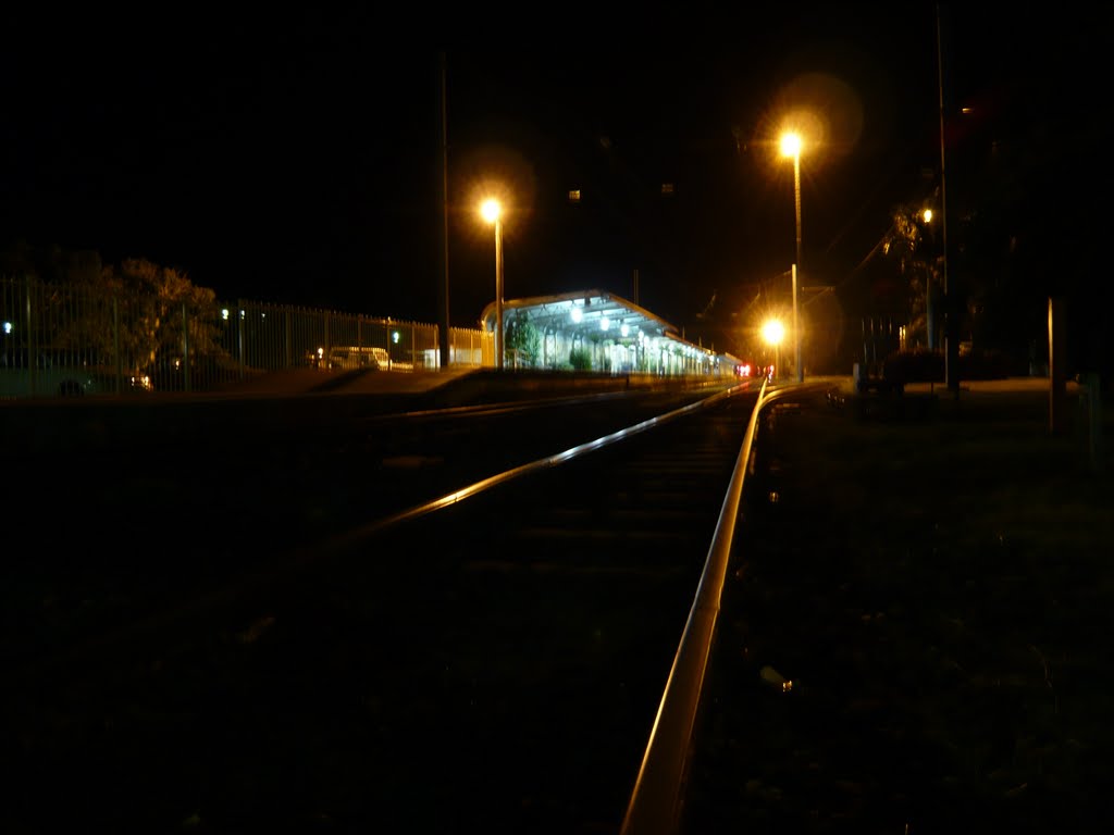 Bundaberg station by White sanders