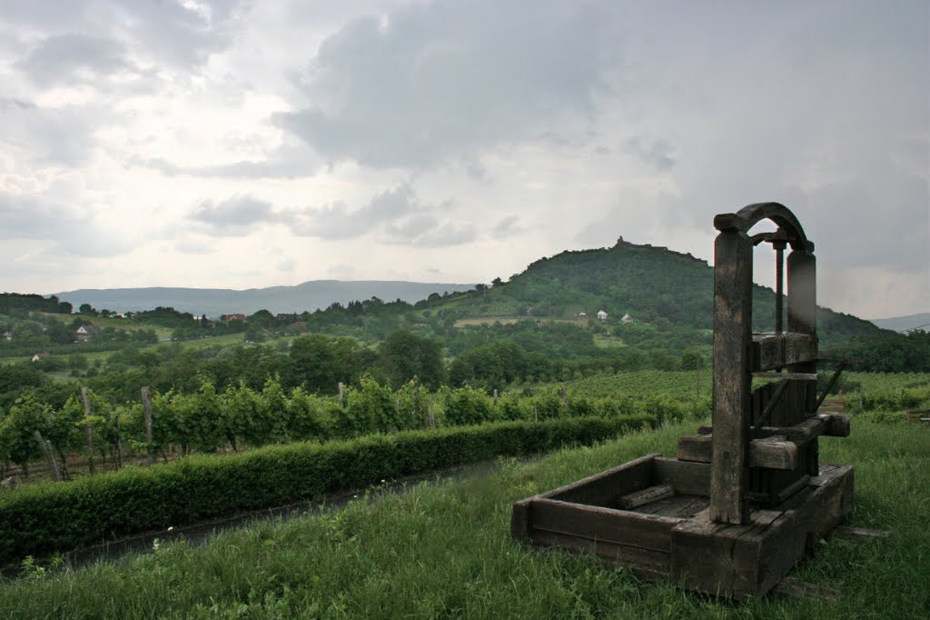 Alte Weinkelter - was hatte die wohl für fröhliche Feste erlebt . . . ? by Reinhard Klenke