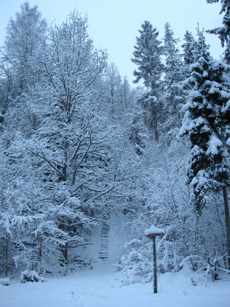 Stairs up to Hobusemäe hill by lontrus