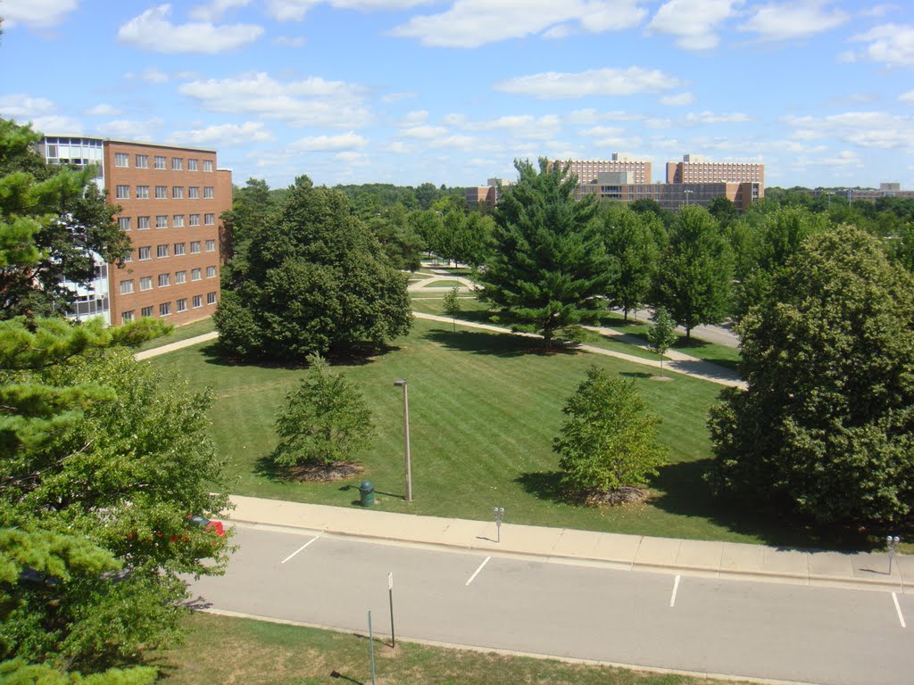 View from Owen Hall 5th floor by Juliano Costa