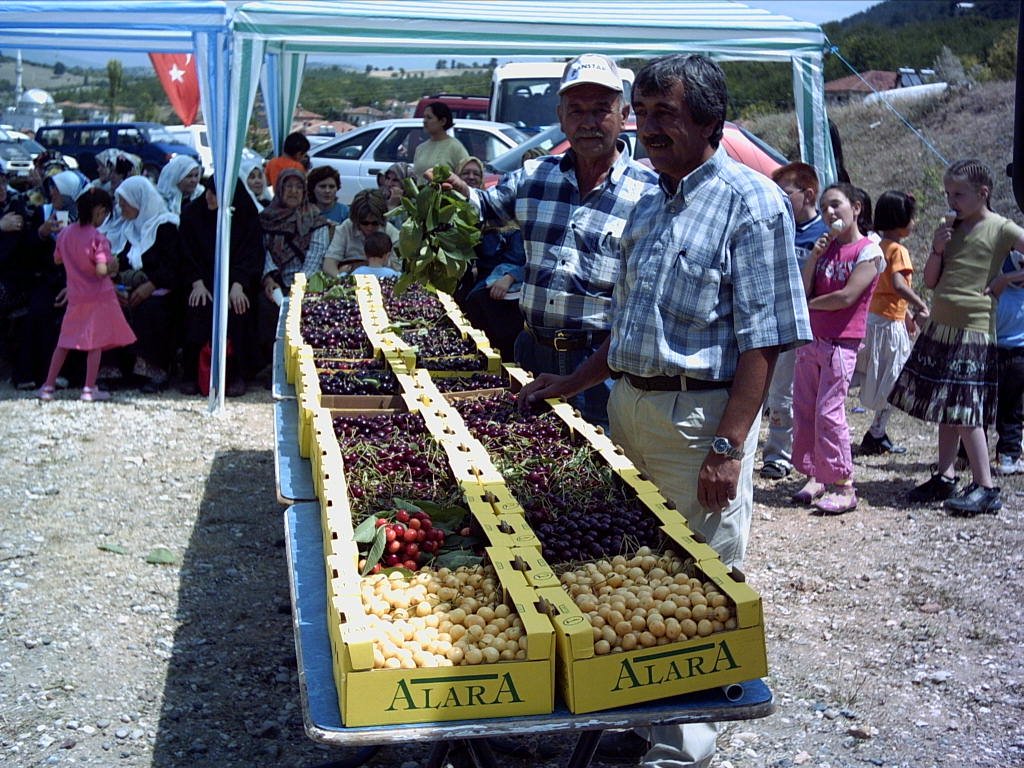 BELENÖREN KİRAZ FESTİVALİ by ismail tekin