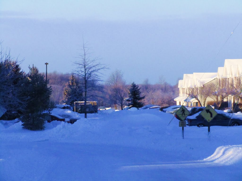 Georgetown Twp, MI, USA by mich09