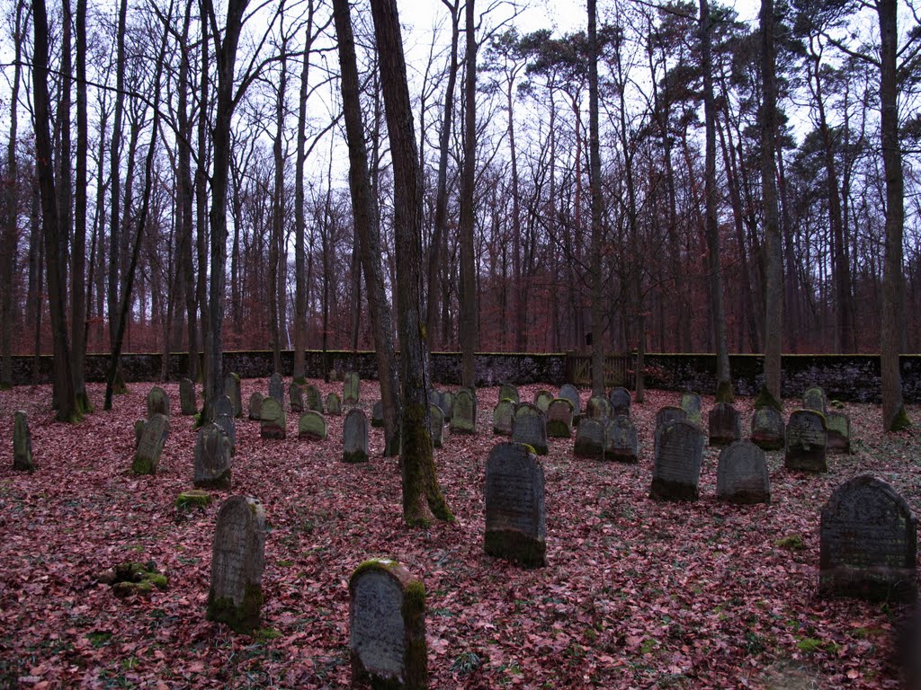 Alter Friedhof im Großen Wald by lebola