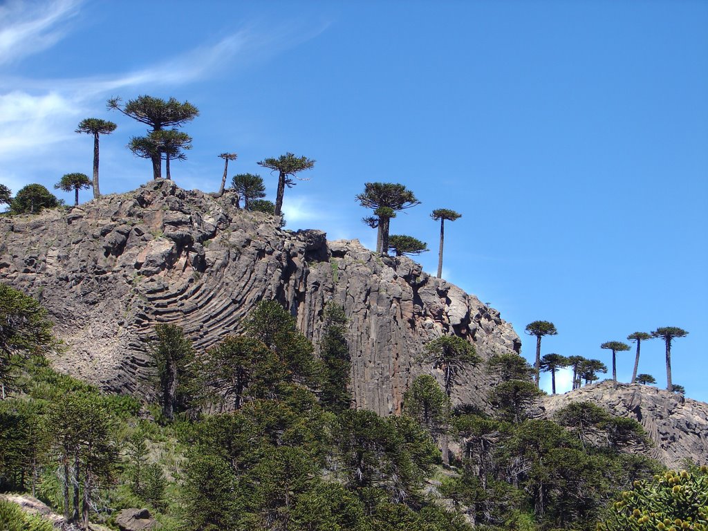 Caprichosas estructuras volcanicas de basalto by lord_mauricio