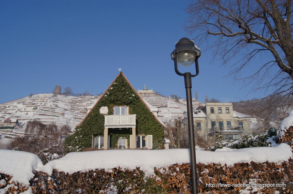 Radebeul im Winter 2010 by Ferienwohnung Pohle und Priske