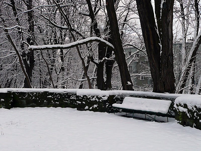 Park zimą by Łukasz Borsuk