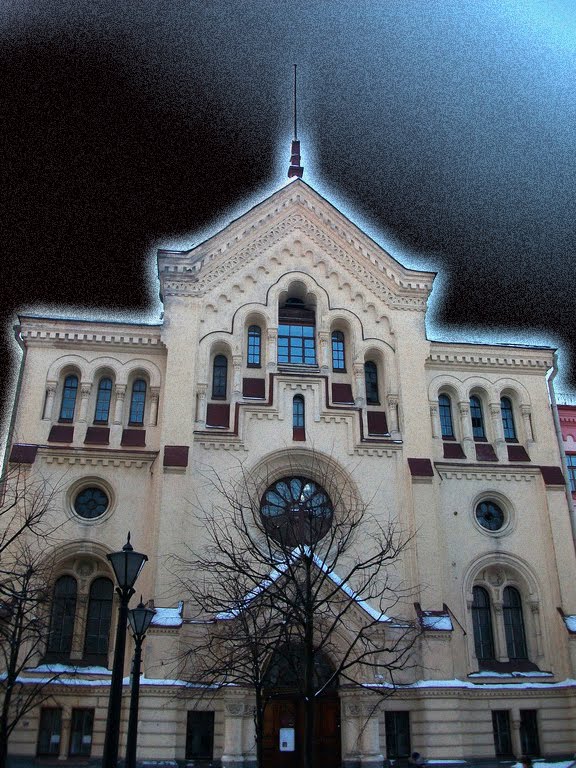 Шведская лютеранская церковь Св. Катарины / Church of Saint Catherine by Dmitry Semenido