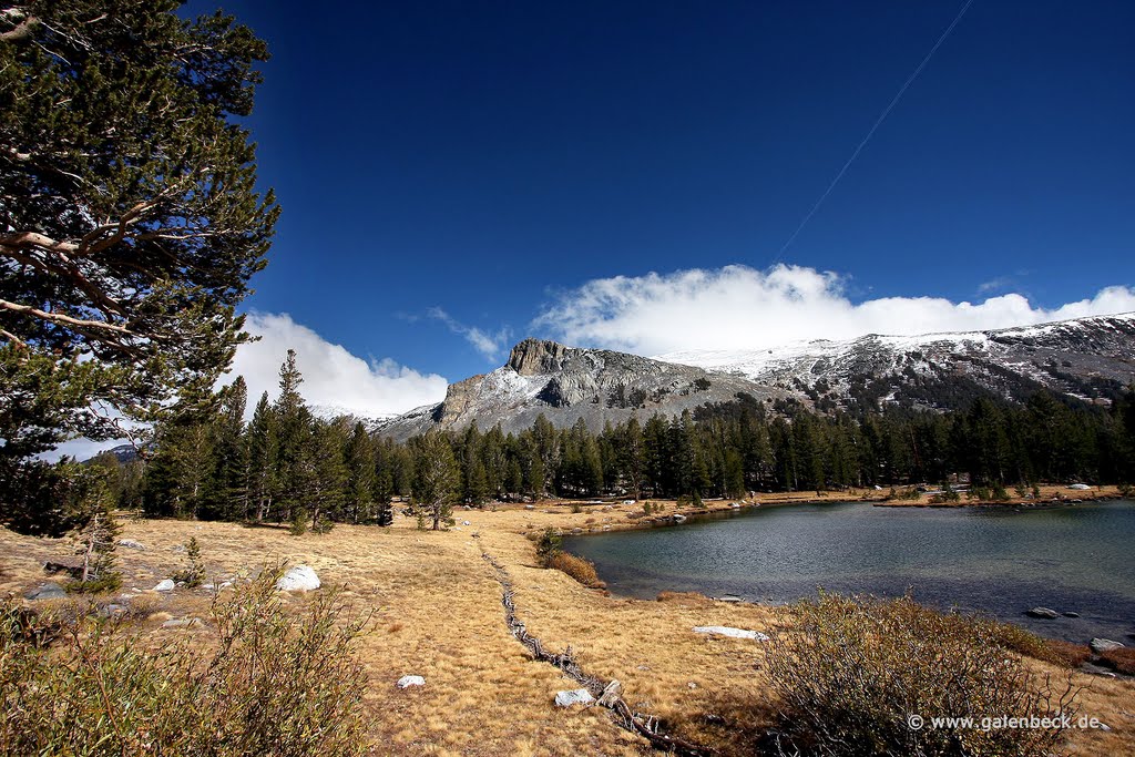 Mount Dana by Thomas Galenbeck