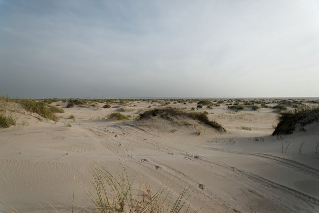 Texel - De Hors - View ESE by txllxt TxllxT