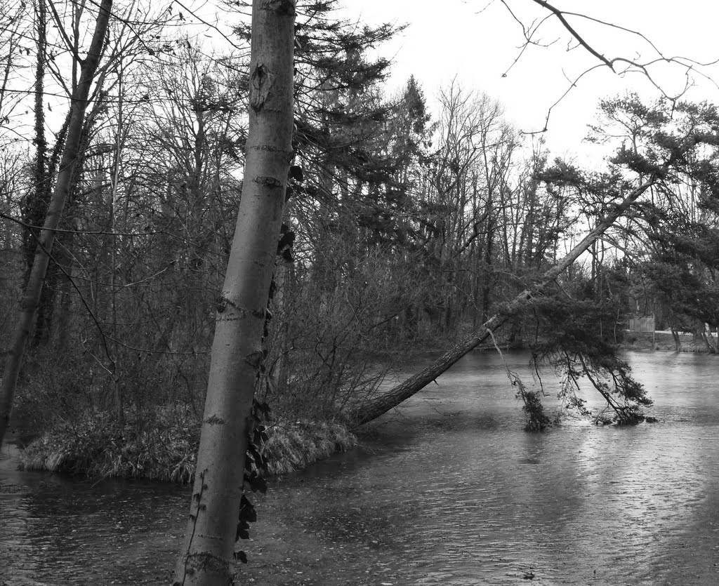 Schloßpark Kottingbrunn by raxnurmi_AUT