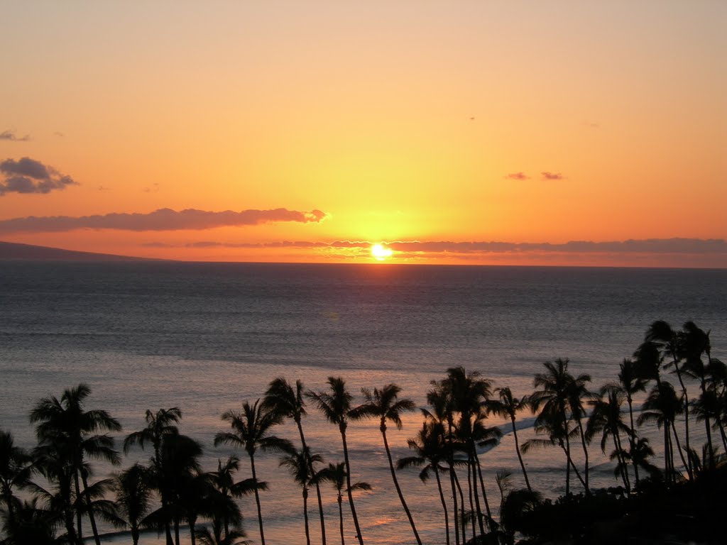 Hawaii Maui - Hyatt Regency Maui Resort by gaiaebruno