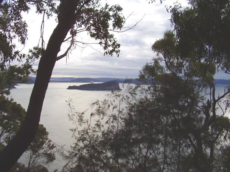 Lion Island Australien by cockatoo