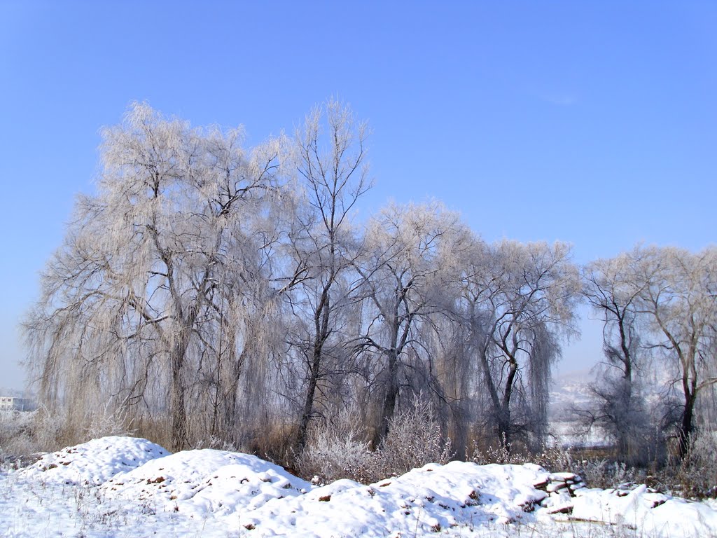 Sighetu Marmatiei, Romania by szumo