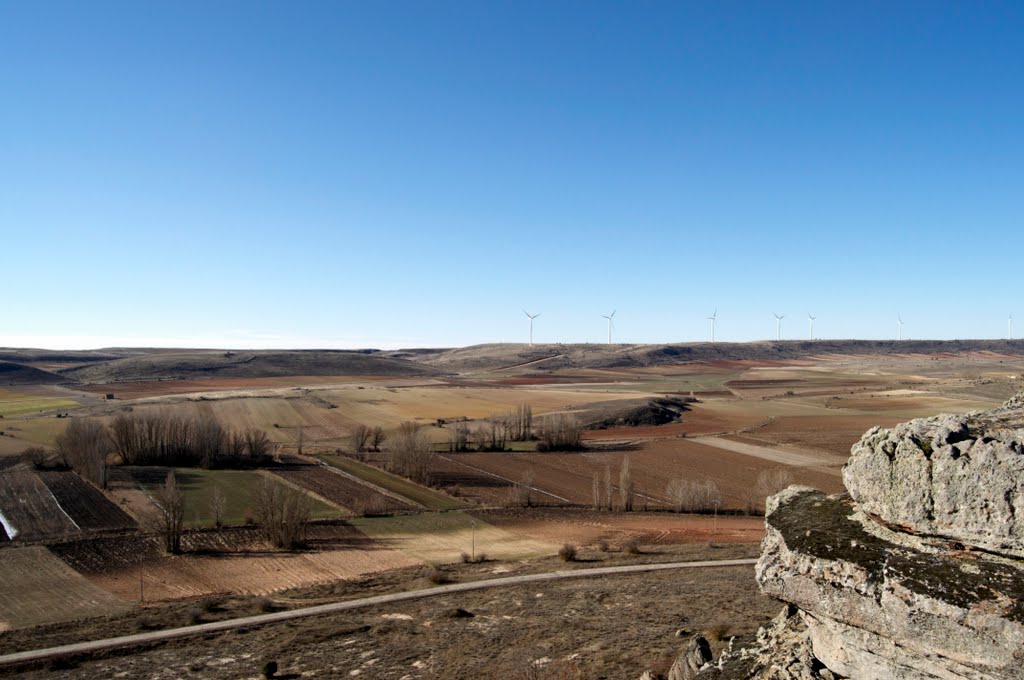 Campo en Enero by Malaya