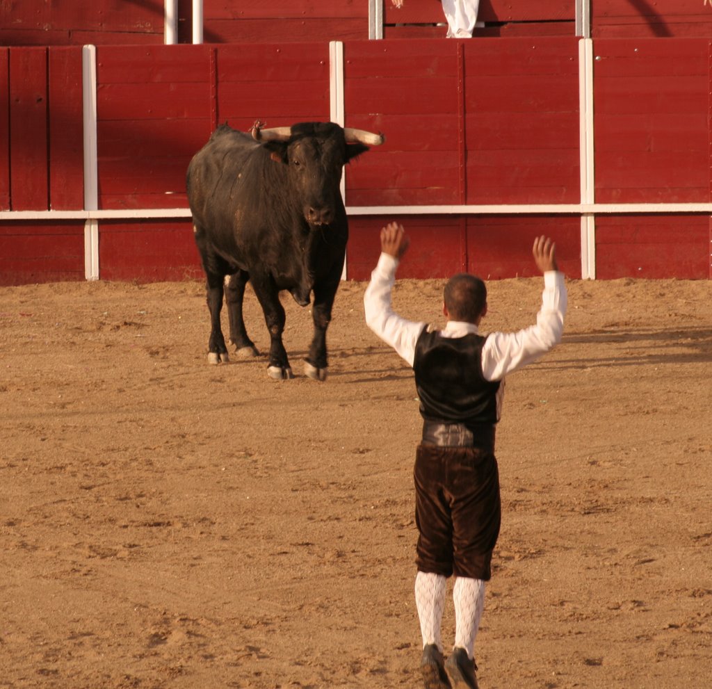 Concurso de recortes mejorada del campo -- madueño 2007 by Madueño