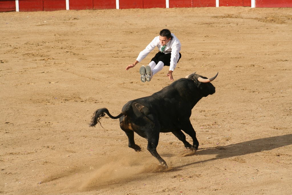 Concurso de recortes mejorada del campo -- madrid 2007 by Madueño