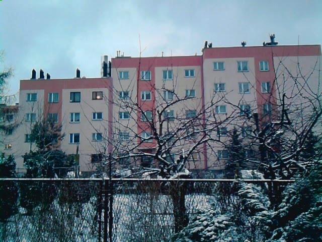 Piotrowice in Winter. Piotrowice zimą by tomi3215