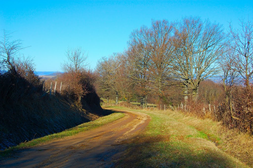 Chemin à proximité de Montmorin by Les Argonautes