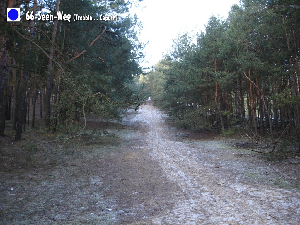 66-Seen-Weg, Aufstieg zum vorderen Löwendorfer Berg (103 NN) - Januar 2011 by GAMBRINUS-Pdm