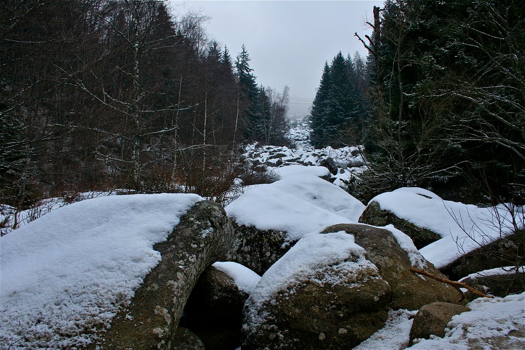 Vitosha-Zlatni mostove by anyivo