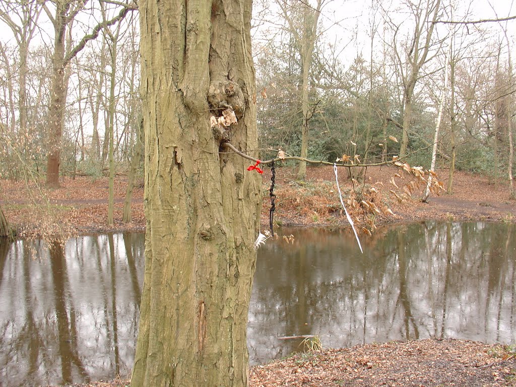 Camlet Moat - Trent Park County Park - Enfield 2004 by Paul HART