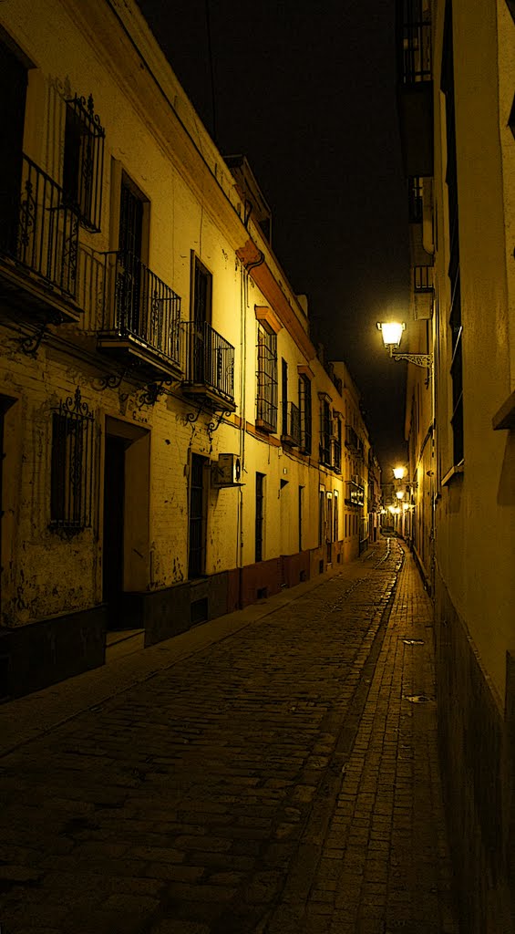 Narrow streets of cobblestone by elnezah