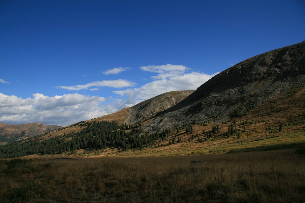 Mayflower Gulch, Looking North West by Richard Ryer