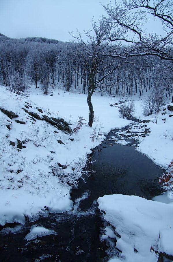 Torrente Parma di Badignana by Mario Brunelli